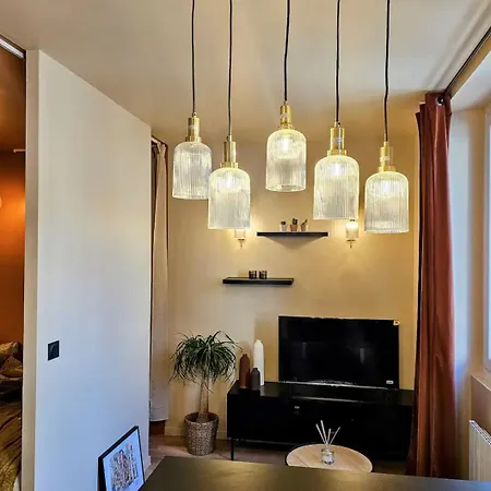 Apartment Description Maryse Bastie Lyon